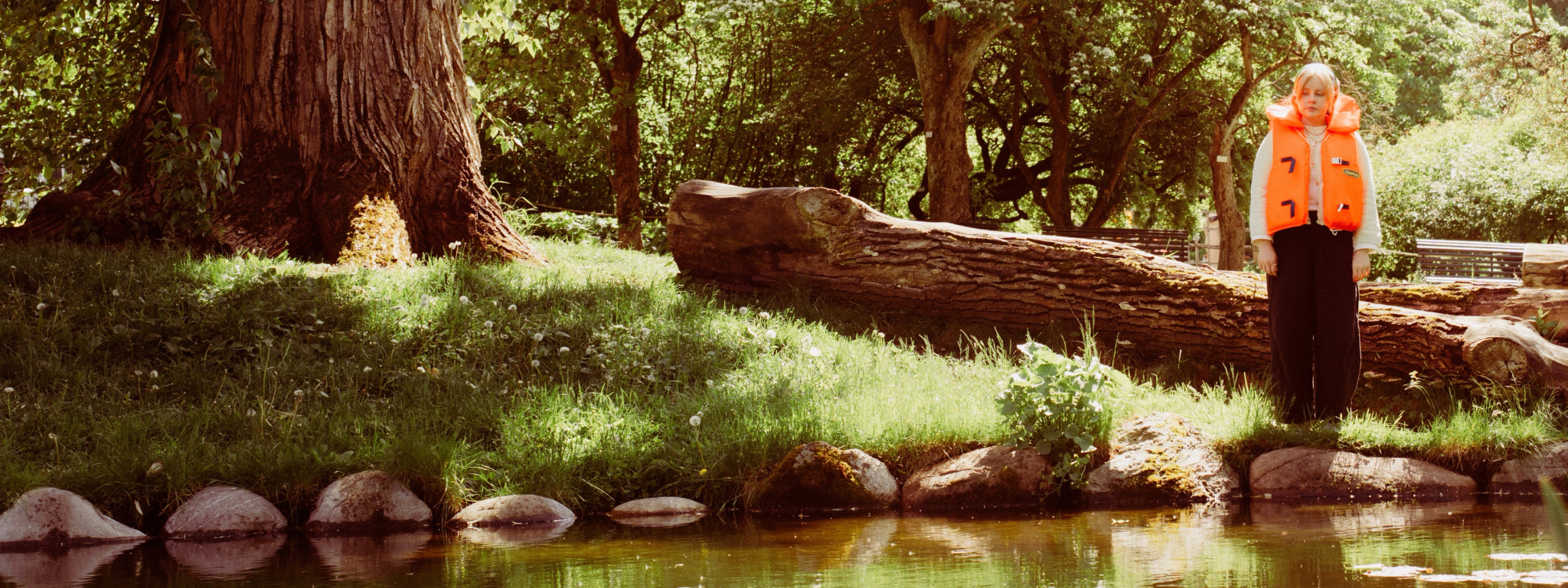 Background
